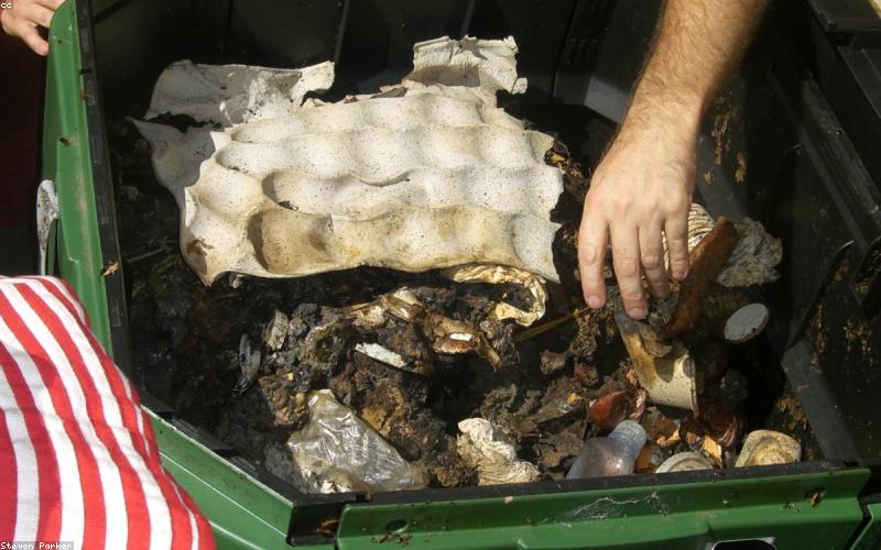 Person adding vegetable scraps to a worm bin